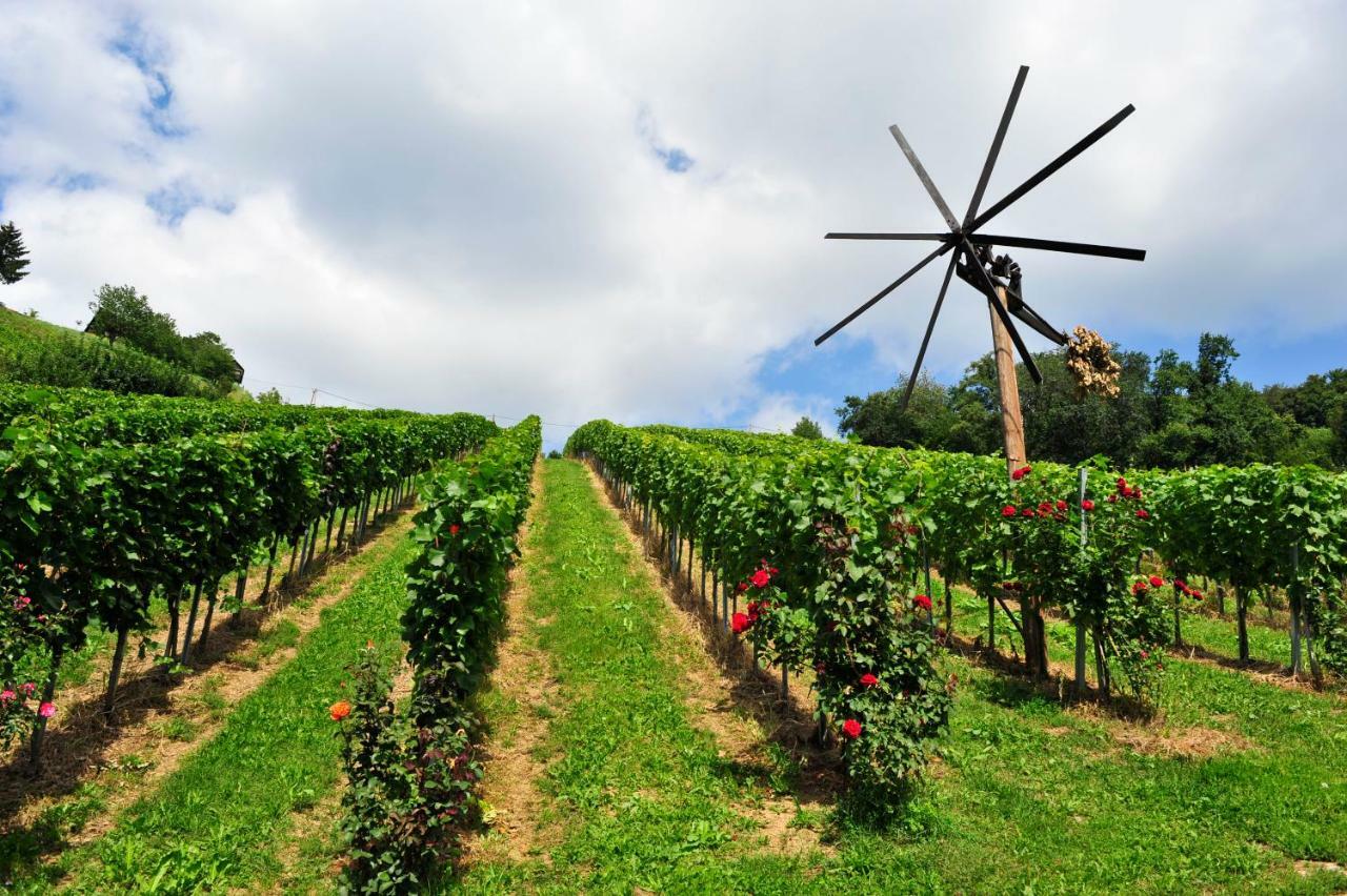 Bed and Breakfast Weingut Stoff Kitzeck im Sausal Zewnętrze zdjęcie