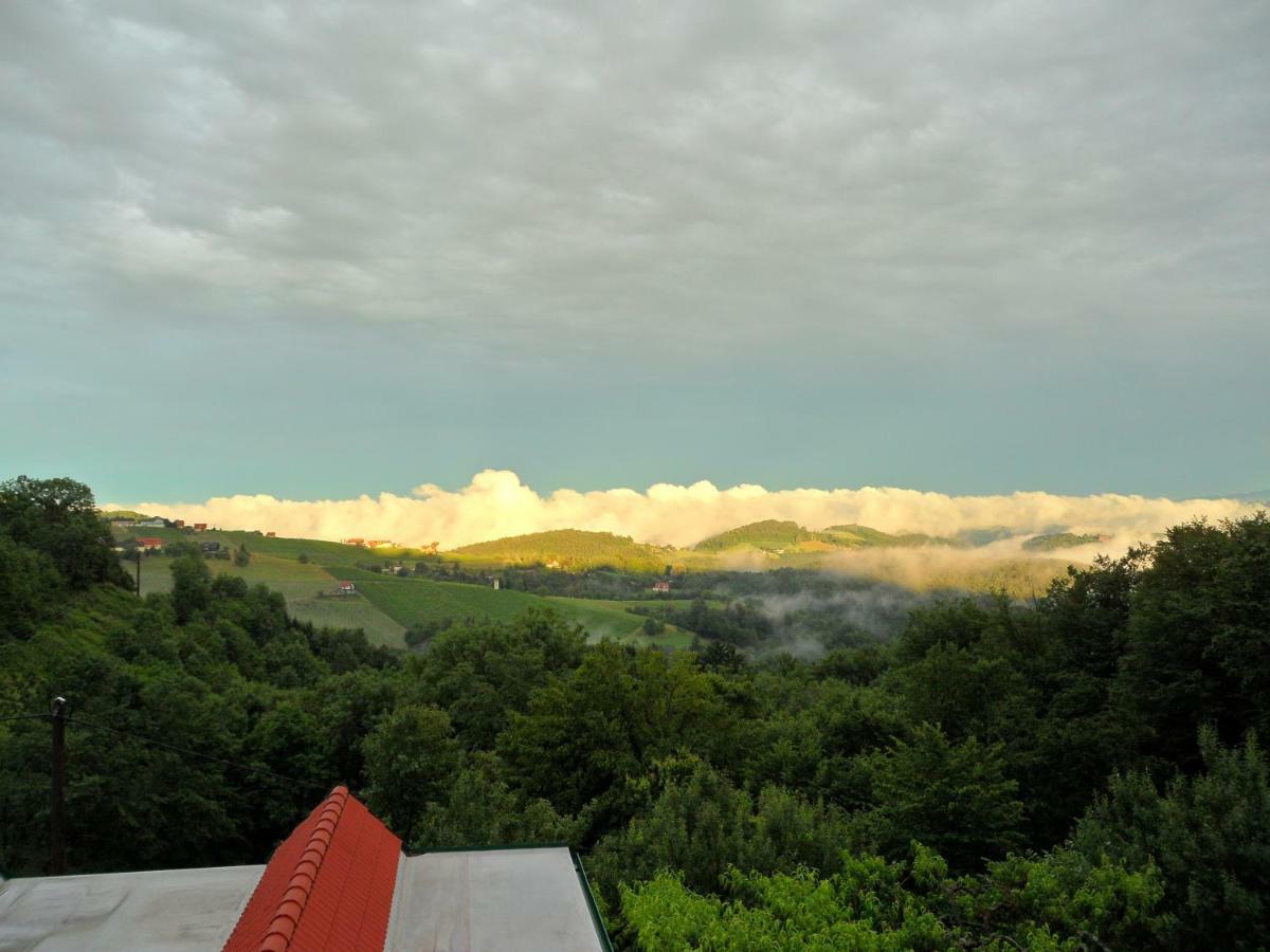 Bed and Breakfast Weingut Stoff Kitzeck im Sausal Zewnętrze zdjęcie